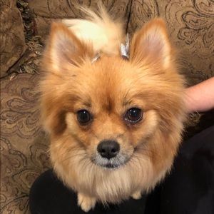 Meet your Posher, Erica